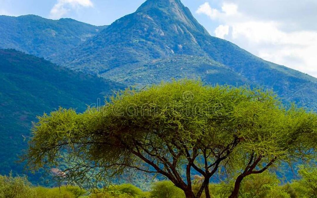 Mount Longido