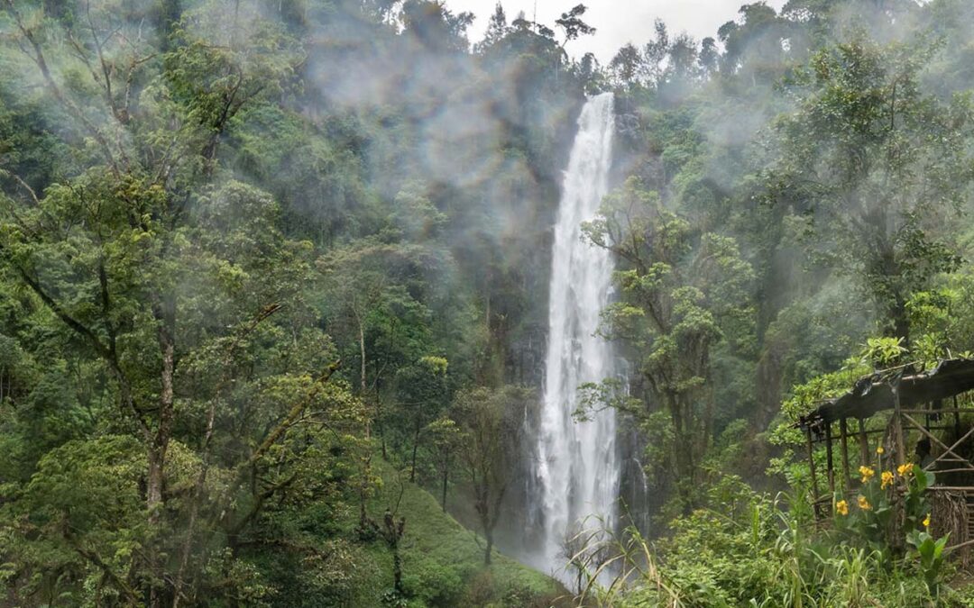 Materuni Waterfalls